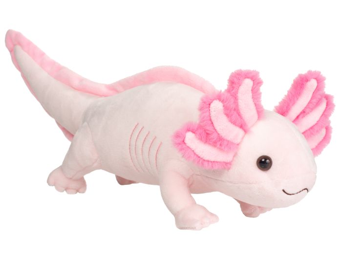 Image Axolotl, ca. 36 cm