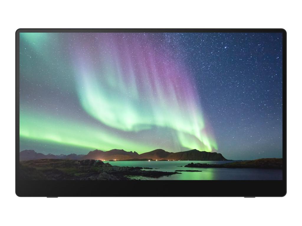 Image RICOH 150 mobiler Multi-Touch Monitor 39,60cm (15,6")