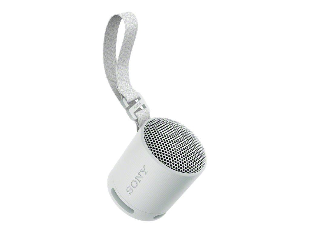 Image SONY Srs-Xb100 - Wireless