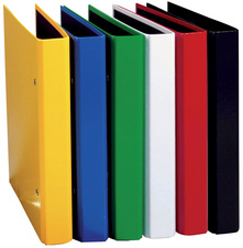 Image PAGNA Ringbuch "Basic Colours", 2 Ring-Mechanik, sortiert