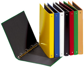 Image PAGNA Ringbuch "Basic Colours", 4 Ring-Mechanik, gelb