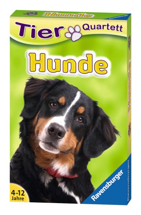 Image Quartett Hunde