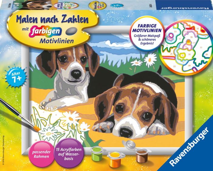 Image MnZ.Jack Russel Welpen