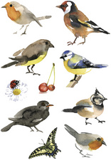 Image HERMA Sticker DECOR "Aquarell Vögel