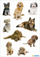 Image HERMA Sticker DECOR "Hundefotos