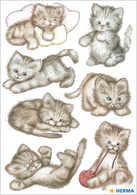 Image HERMA Sticker DECOR "Drolliges Kätzchen