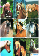 Image HERMA Sticker DECOR "Pferdeköpfe