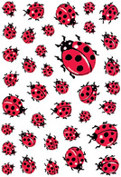 Image HERMA Sticker DECOR "Marienkäfer
