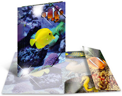 Image HERMA Sammelmappe A4 Glossy Fisch Polypropylen