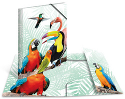 Image HERMA Eckspannermappe Exotische Tiere, A3, Tropendique
