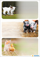 Image HERMA Buchetiketten VARIO "Bauernhoftiere