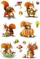 Image HERMA Sticker DECOR "Eichhörnchen