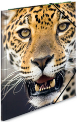 Image HERMA Eckspannermappe "Leopard", aus PP, DIN A4 Maße: (B)244 x (T)4 x (H)320 mm