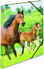 Image HERMA Eckspannermappe "Pferde", aus PP, DIN A4 Maße: (B)244 x (T)4 x (H)320 mm,