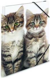 Image HERMA Eckspannermappe "Katzen", aus PP, DIN A3 Maße: (B)315 x (T)4 x (H)440 mm,