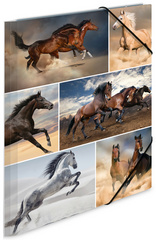 Image HERMA Sammelmappe A4 Pferde Pappe