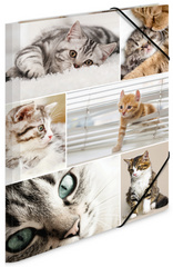 Image HERMA Sammelmappe A4 Katzen Pappe
