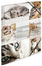 Image HERMA Sammelmappe A3 Katzen Pappe