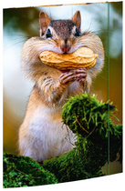 Image RNK Verlag Zeichnungsmappe "Chipmunk", DIN A3