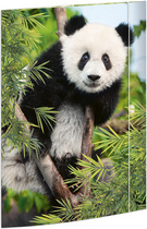 Image RNK Verlag Zeichnungsmappe "Panda", DIN A3