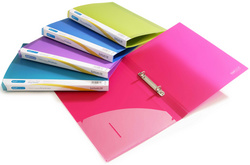 Image RAPESCO Ringbuch, 15 mm, DIN A4, 2-Ring-Mechanik, sortiert