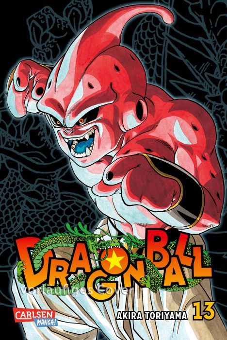 Image Dragon Ball Massiv 13