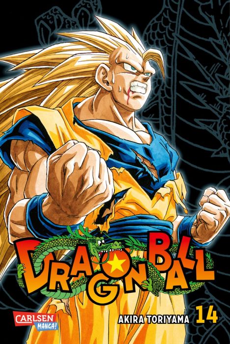 Image Dragon Ball Massiv 14
