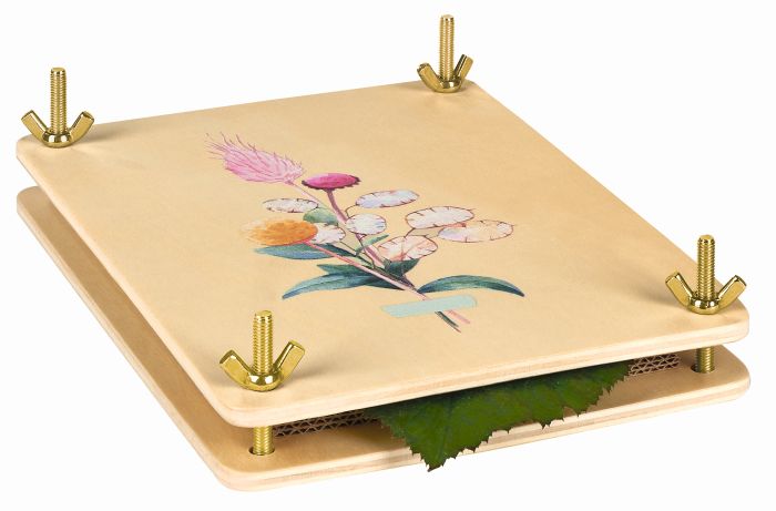 Image Blatt- und Blütenpresse