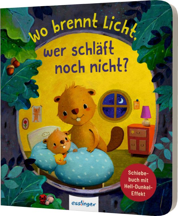 Image Wo brennt Licht, wer schläft noch nicht?