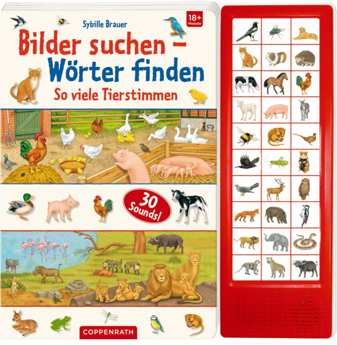 Image Bilder suchen-Wörter finden: So viele Ti