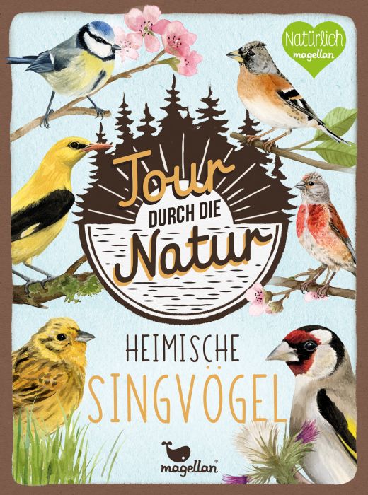 Image Tour durch die Natur - Singvögel