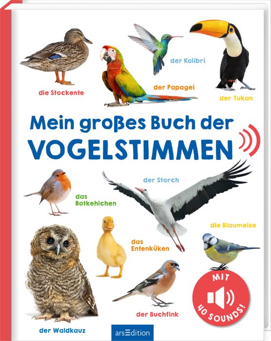 Image Mein großes Buch Vogelstimmen