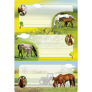 Image HERMA Buchetiketten "Pferde", 76 x 35 mm