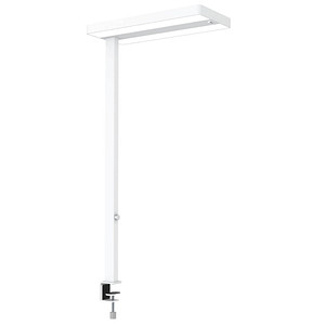 Image MAUL MAULjuvis Schreibtischlampe weiß mit Tischklemme