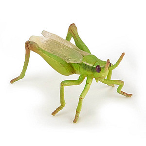 Image papo 50268 Heuschrecke Spielfigur