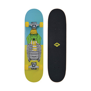 Image SCHILDKRÖT Skateboard Kicker 31" Green Dog