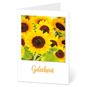 Image LUMA Gutschein Sonnenblumen DIN B6