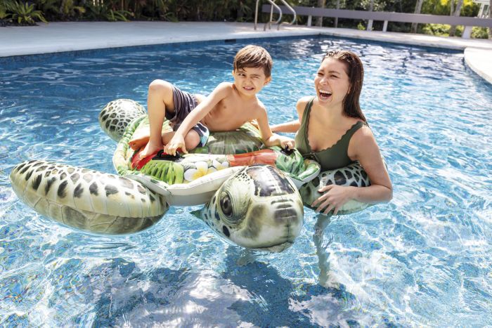 Image Intex Reittier Schildkröte