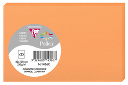 Image EXACLAIR Pollen by Clairefontaine Briefkarte 82 x 128 mm, clementine 210 g/qm, 