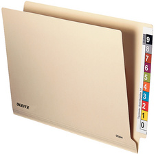 Image LEITZ Einstellmappe OrgacolorPlus, A4, mit Tab, chamois