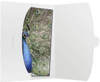 Image DAIBER 09021 Bilderrahmen (09021)