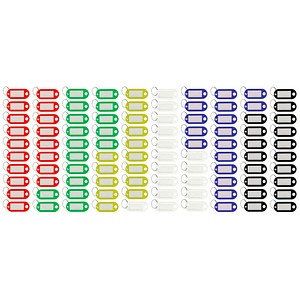 Image 100 WESTCOTT Schlüsselanhänger farbsortiert