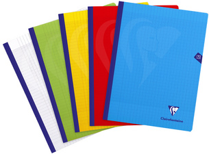 Image Clairefontaine Cahier brochure Mimesys, 240 x 320 mm, séyès