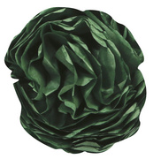 Image Clairefontaine Seidenpapier, (B)500 x (H)750 mm, dunkelgrün