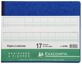Image EXACOMPTA Piqûre à colonnes, 30 colonnes, 31 lignes