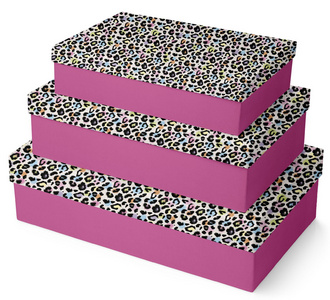 Image Clairefontaine Geschenkboxen-Set "Leopard", 3-teilig