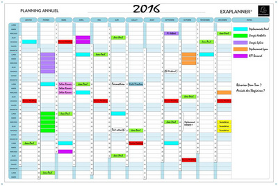 Image EXACOMPTA Planning annuel Exaplanner, (L)900 x (H)590 mm