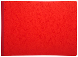 Image EXACOMPTA Piqûre "Recettes/Dépenses des Associations