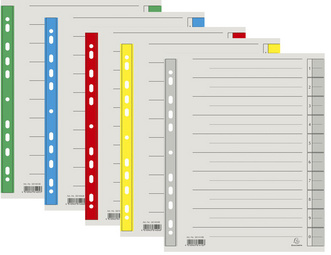 Image EXACOMPTA Trennblätter, DIN A4 Überbreite, grün