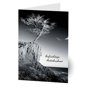 Image LUMA Trauerkarte Baum DIN B6